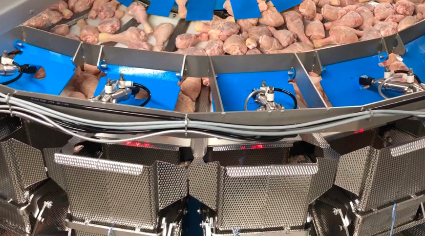 MAREL PRESENTS NEW MULTIHEAD WEIGHER IQF LARGE